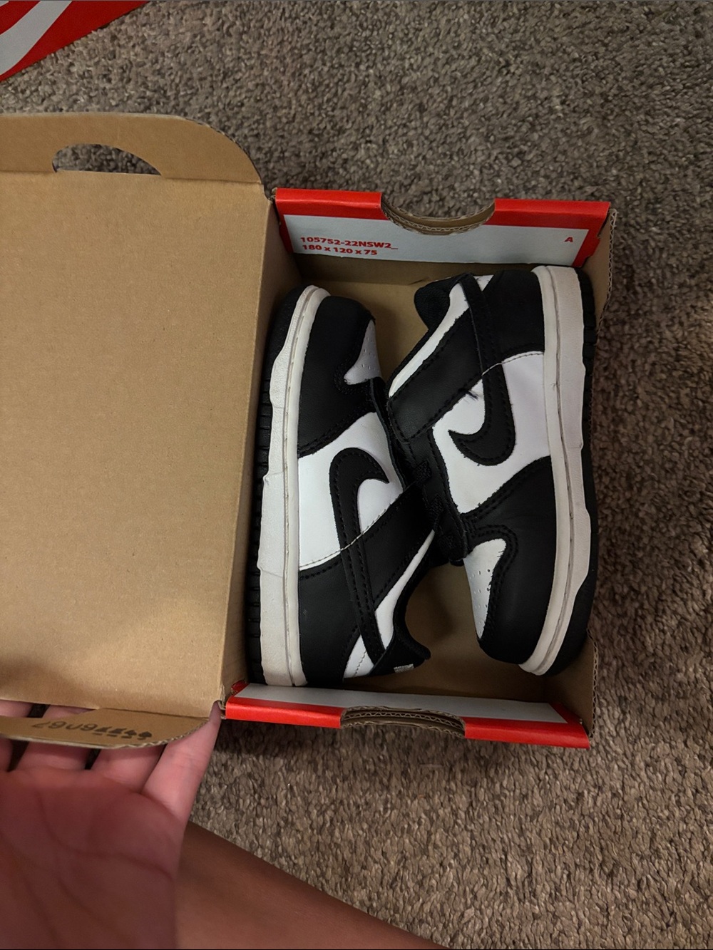 Nike Kids Black and White Low-Top Sneakers